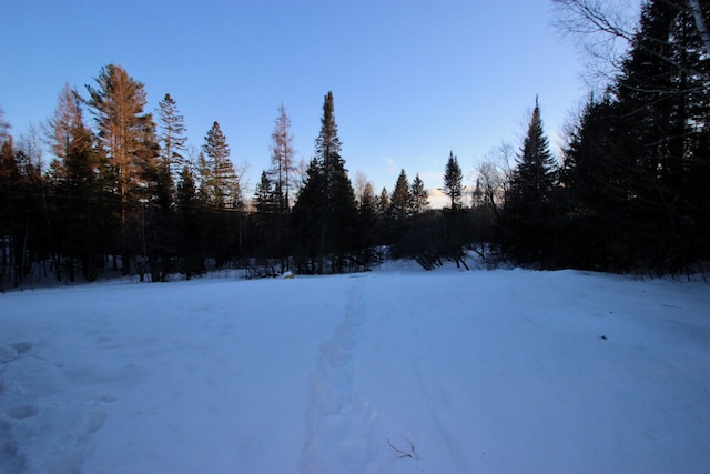 view of yard layered in snow