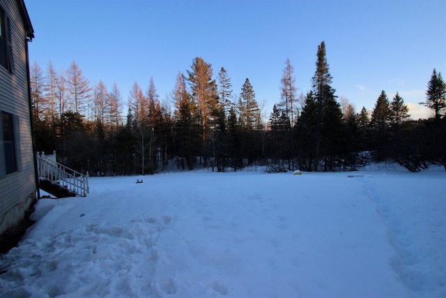 view of yard covered in snow