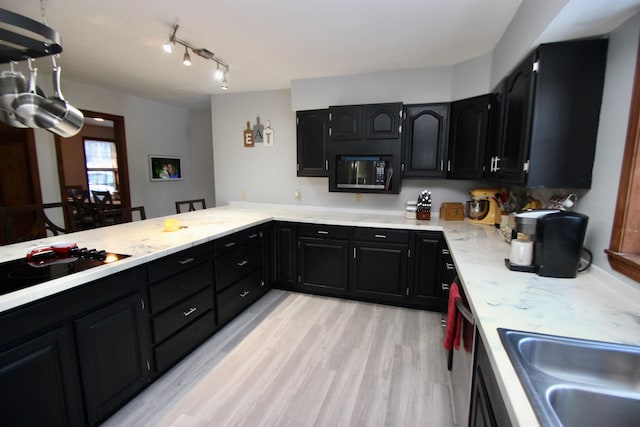 kitchen featuring appliances with stainless steel finishes, dark cabinets, light countertops, light wood-type flooring, and a sink