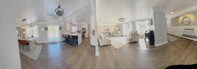 living room with baseboards, a raised ceiling, ornamental molding, wood finished floors, and baseboard heating