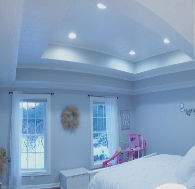 bedroom featuring a tray ceiling and recessed lighting