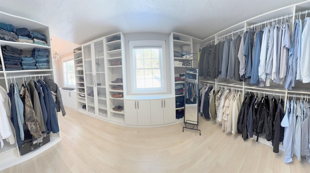 spacious closet featuring vaulted ceiling and wood finished floors