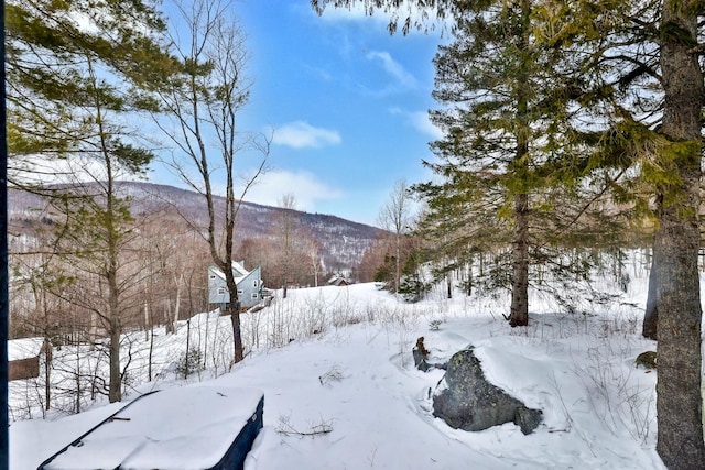 165 Upper Round Top Ext, Plymouth, VT 05056 - yard layered in snow with a garage and a mountain view