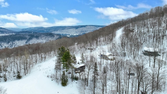 165 Upper Round Top Ext, Plymouth, VT 05056 - view of mountain feature