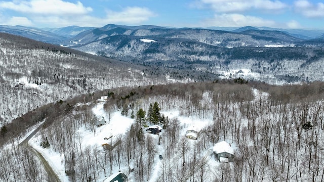 165 Upper Round Top Ext, Plymouth, VT 05056 - property view of mountains