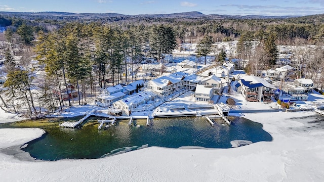 snowy aerial view with a mountain view and a view of trees