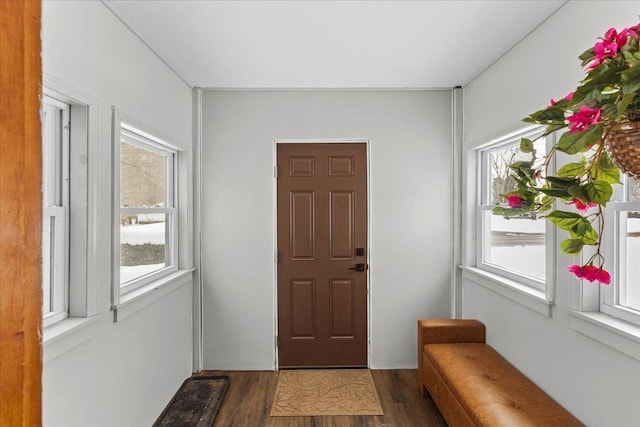 entrance foyer with dark wood-style floors