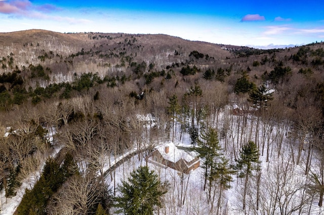 property view of mountains with a wooded view