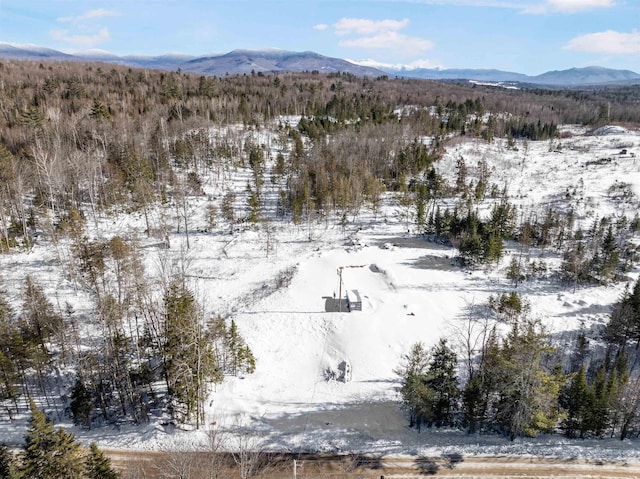 101 Page Hill Rd, Lancaster NH, 03584 land for sale