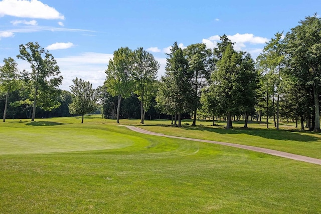 surrounding community featuring a lawn