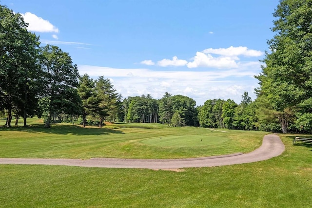 view of property's community with a lawn