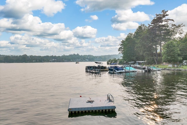 water view with a dock