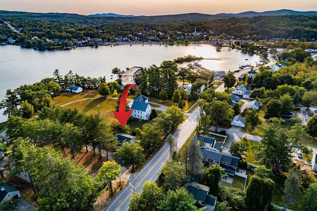 birds eye view of property featuring a water and mountain view