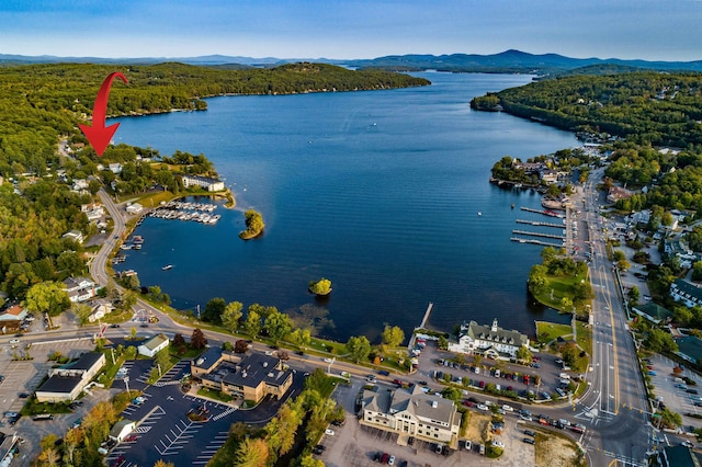 drone / aerial view with a view of trees and a water and mountain view