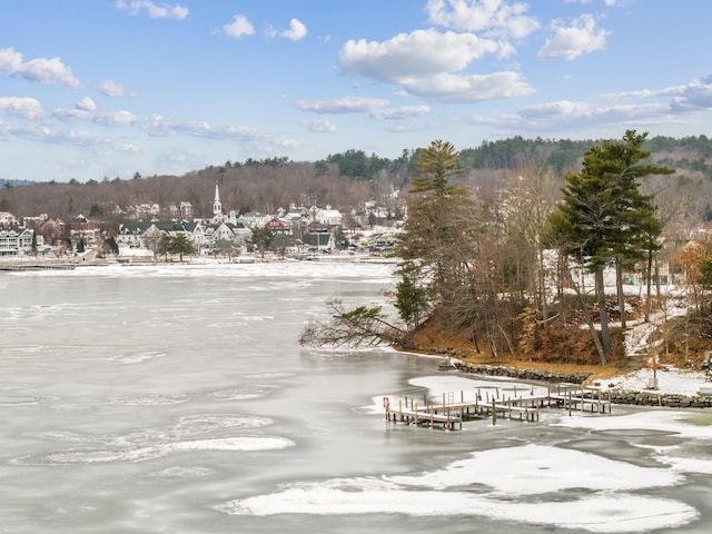 view of home's community featuring a water view