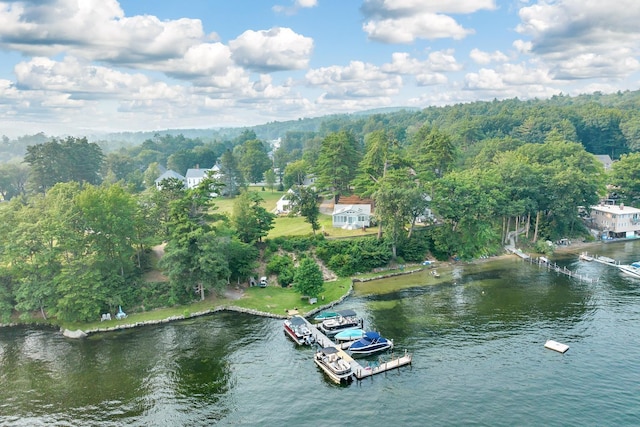 aerial view with a water view and a wooded view