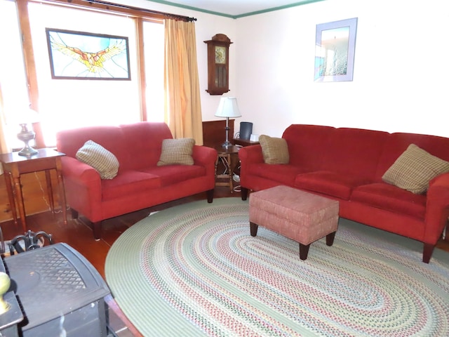 living area featuring wood finished floors