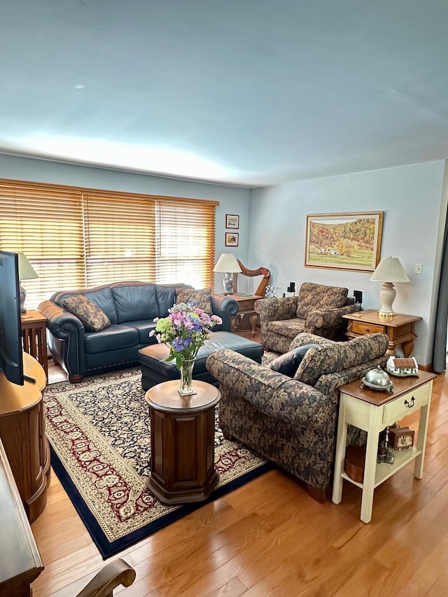 living room featuring wood finished floors