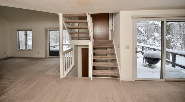 stairway with carpet floors and a textured ceiling