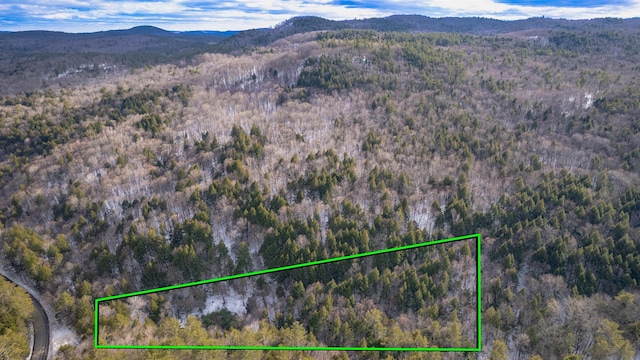 4125 Chester Rd, Grafton VT, 05146 land for sale