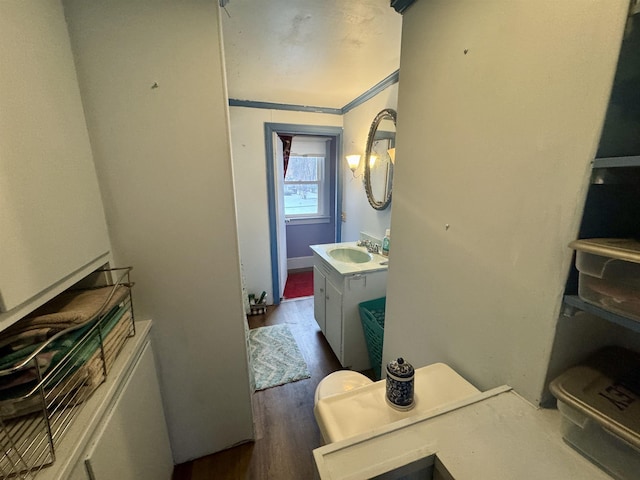 bathroom with wood finished floors, vanity, and crown molding