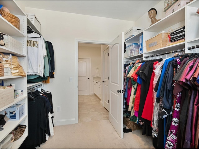 walk in closet with carpet floors