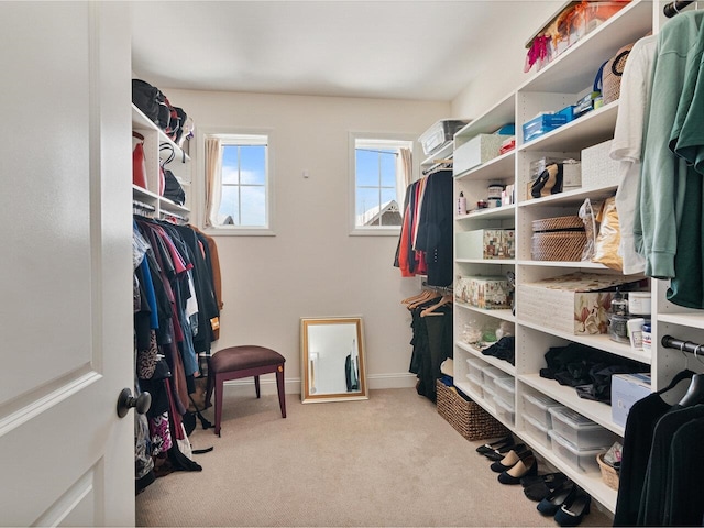 walk in closet with carpet floors