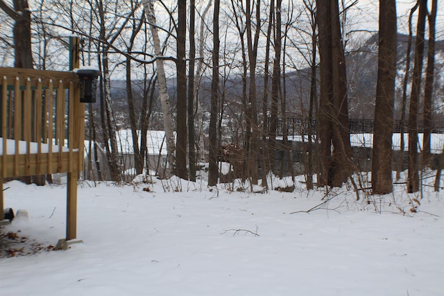 view of snowy yard