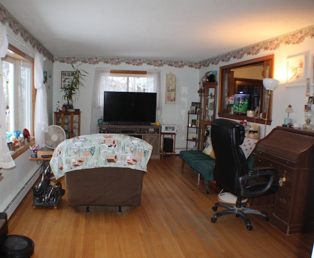 living room with a baseboard radiator and wood finished floors