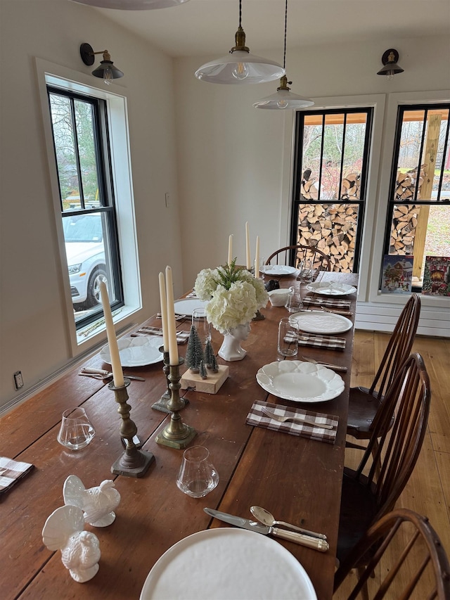 dining room with wood-type flooring