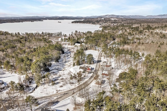 birds eye view of property with a water and mountain view