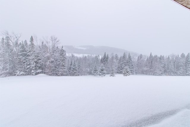 yard covered in snow featuring a forest view