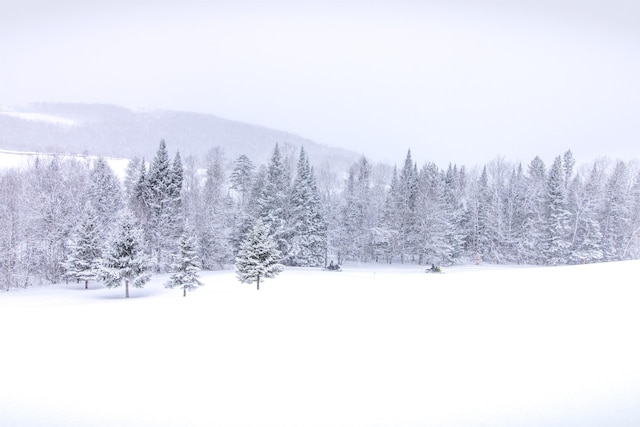 mountain view with a view of trees