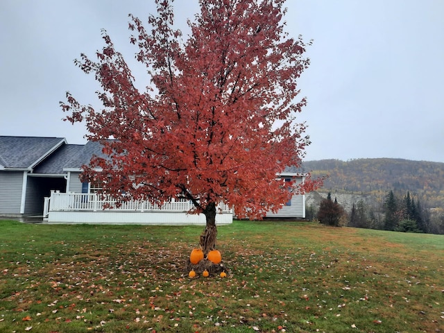 view of yard with a view of trees