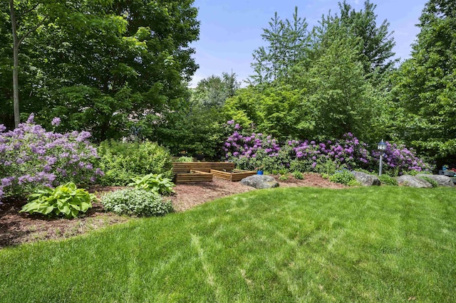 view of yard with a vegetable garden