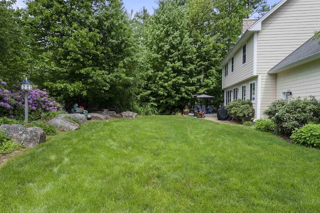 view of yard featuring a patio area