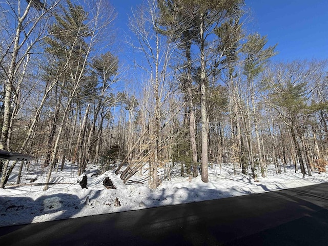 Wildcat Rd, Barrington NH, 03825 land for sale