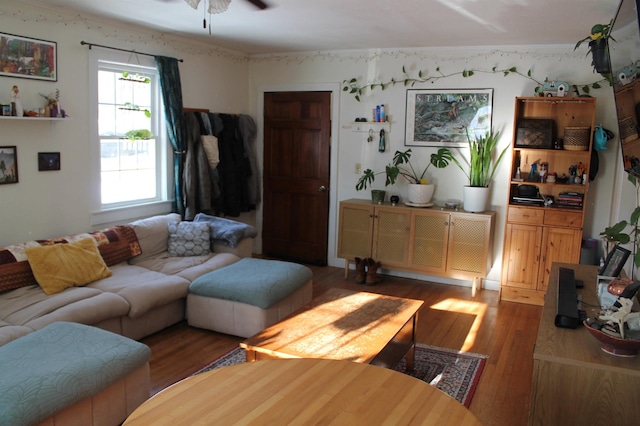 living area with a ceiling fan, ornamental molding, and wood finished floors