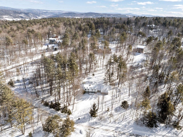 snowy aerial view featuring a mountain view and a view of trees