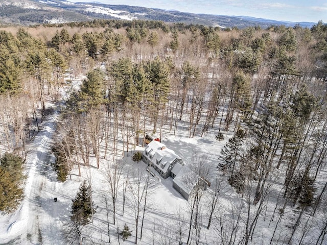 drone / aerial view featuring a mountain view and a wooded view