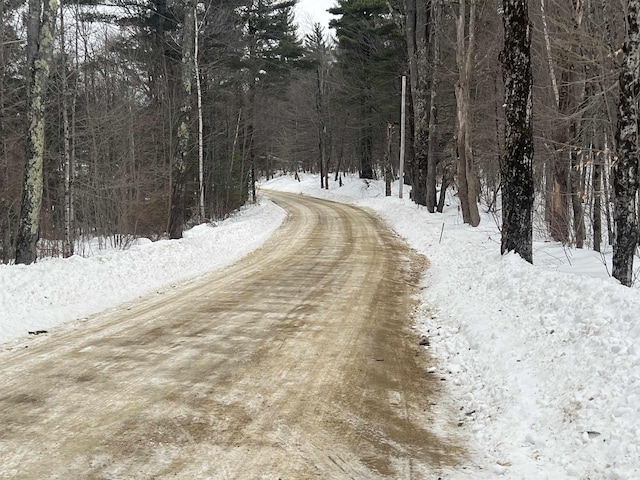 76 Edgerly School Rd, Meredith, NH 03253 - view of dirt / gravel road featuring a view of trees
