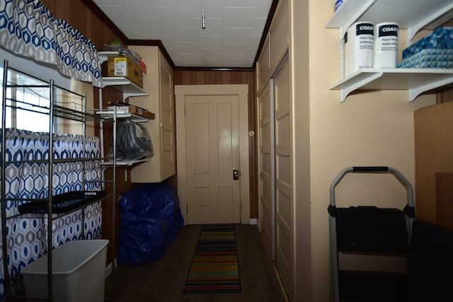 entryway featuring wooden walls