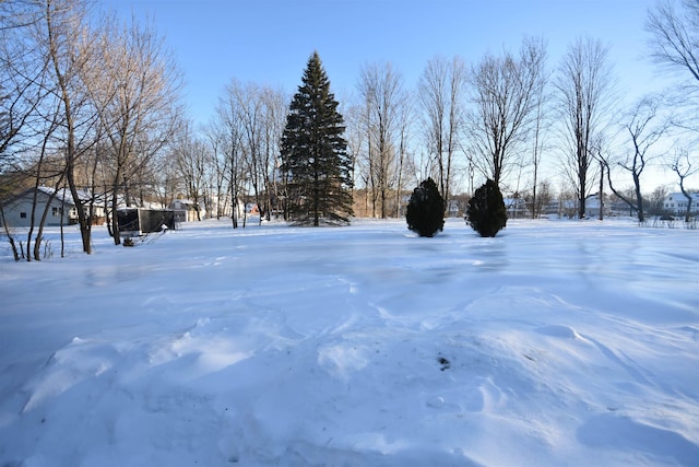 view of yard covered in snow