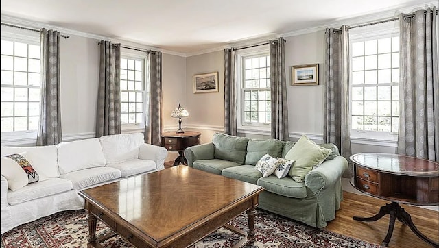 living area with crown molding and wood finished floors