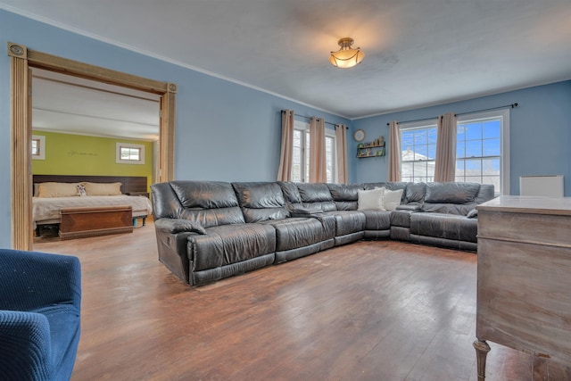 living room with crown molding and wood finished floors