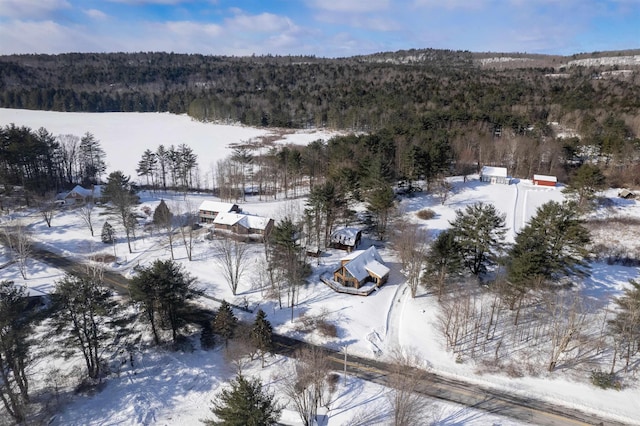 snowy aerial view featuring a wooded view