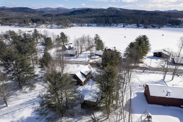 snowy aerial view featuring a mountain view and a wooded view