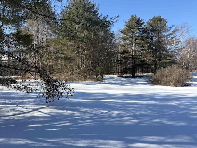 view of yard layered in snow