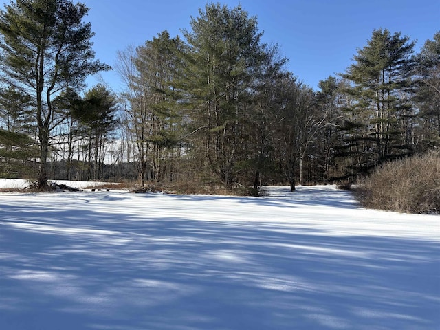 view of yard layered in snow