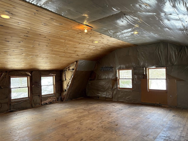 bonus room with a wealth of natural light, vaulted ceiling, and hardwood / wood-style floors